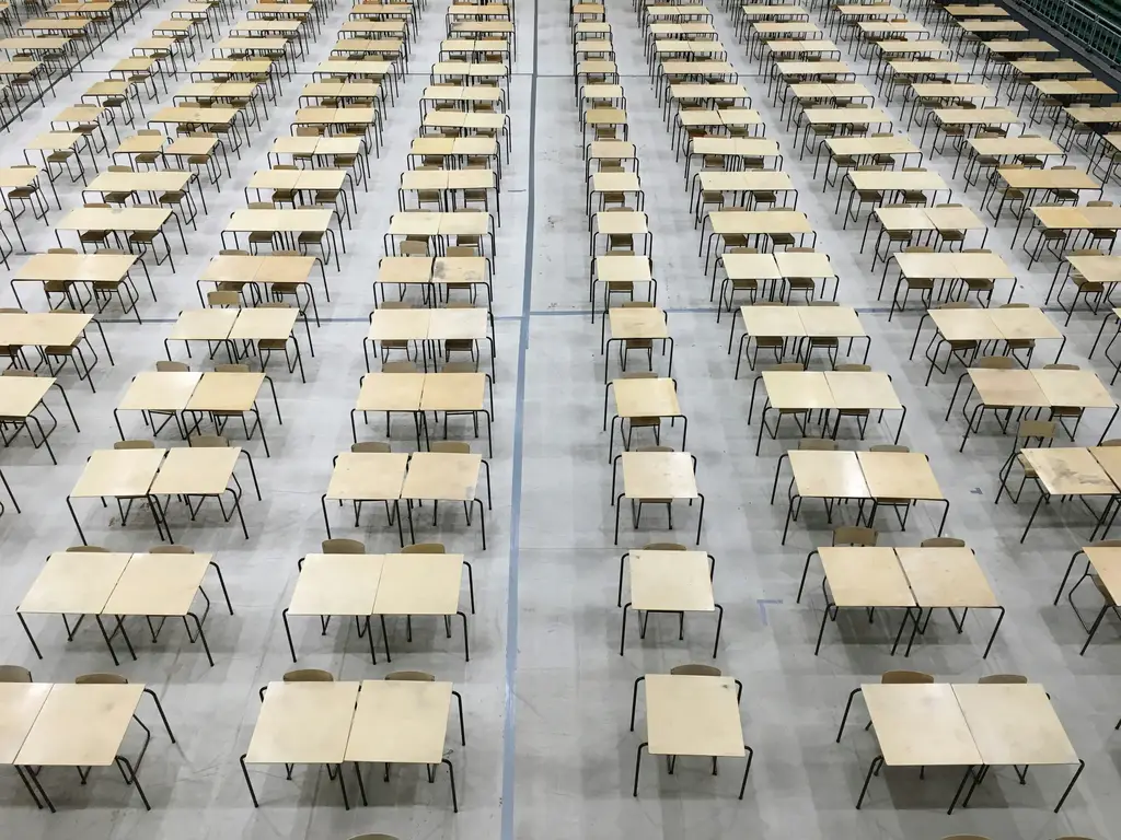 大學生涯規劃指南：邁向成功的大學之旅